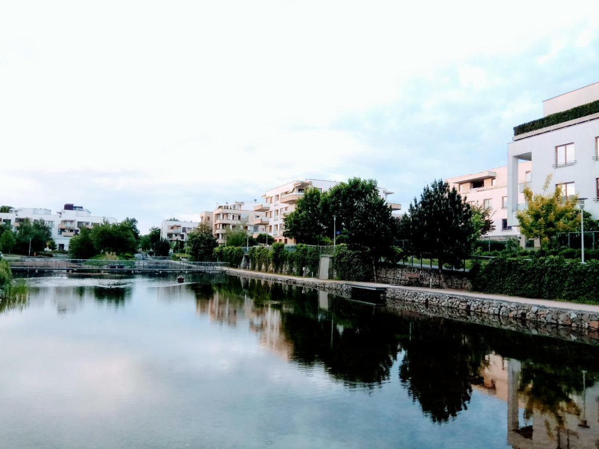 Apartment M&r Apartament: Airport-adjacent Business With Terrace